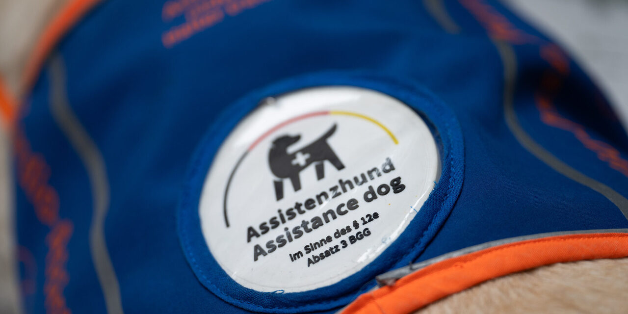 Assistenzhunde