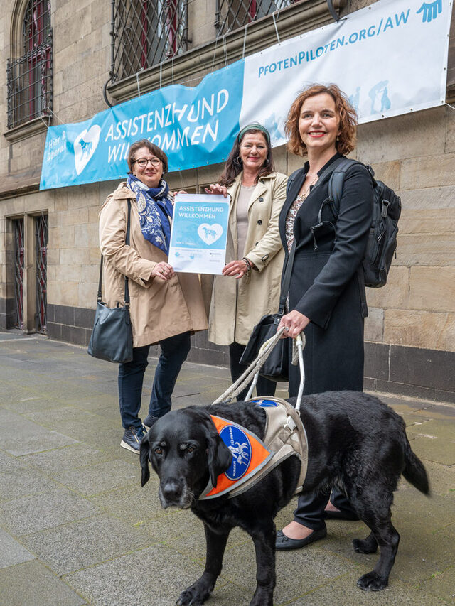 von links: Elisabeth Koal, Inklusionsbeauftragte, Birgit Schmitz, Referat für Gleichberechtigung und Chancengleichheit und Dr. Hannah Reuter mit Blindenführhündin Daika. Assistenzhunde sind in allen städtischen Einrichtungen willkommen, dies wird künftig durch ein entsprechendes Schild im jeweiligen Eingangsbereich symbolisiert.