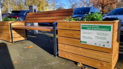 Die Grüne Bank mit Plakette und Bepflanzung