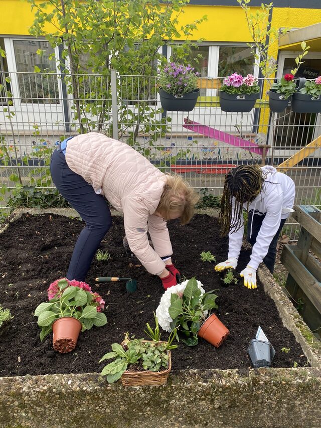 Das Beet des Vorgartens wird bepflanzt