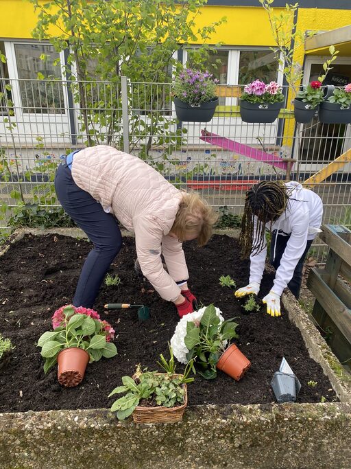 Das Beet des Vorgartens wird bepflanzt