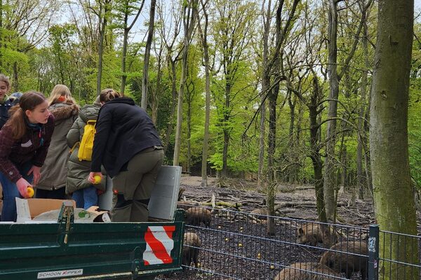 Die "Girls" im Duisburger Forst