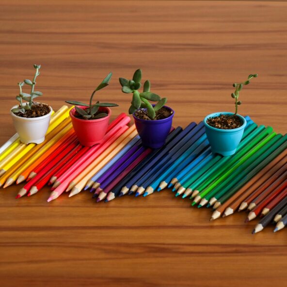 5 Pflanzen stehen auf Buntstiften