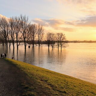 Rhein hat Hochwasser bei Sonnenuntergang