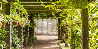 Botanischer Garten Hamborn blätterumrankter Gang