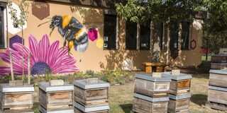 Rumel-Kaldenhausen: Bienenmuseum an der Schullallee