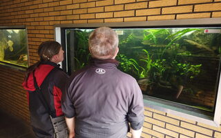 BesucherInnen im Aquarium Botanischer Garten