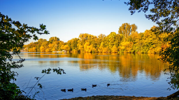 Herbst an der Sechs Seen Platte