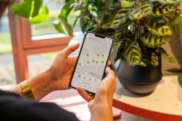 Eine Person hält ein Smartphone in den Händen, auf dem die Onlineplattform "Du gießt" sichtbar ist.