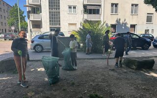 Erste Aufräumaktion am Blauen Haus Hochfeld