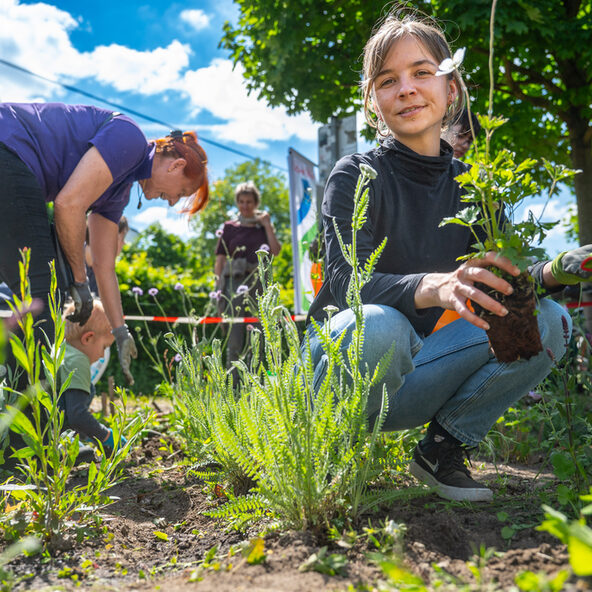 Pflanzaktion des Stadtdtbüro Hochfeld