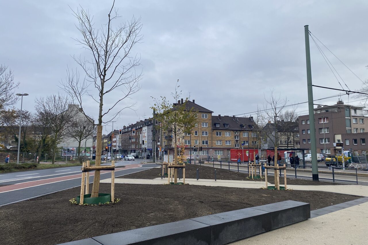 Bonifatiusplatz mit neuen Baumpflanzungen