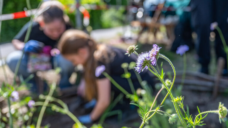 Pflanzaktion des Stadtdtbüro Hochfeld