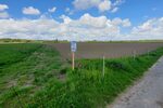 Bildausschnitt von der Bezäunung vom Binsheimer Feld