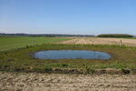 Bildausschnitt von einer Wasserstelle auf dem Binsheimer Feld
