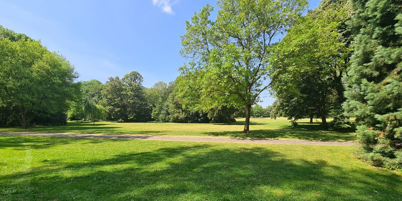 Klimahain im Biegerpark