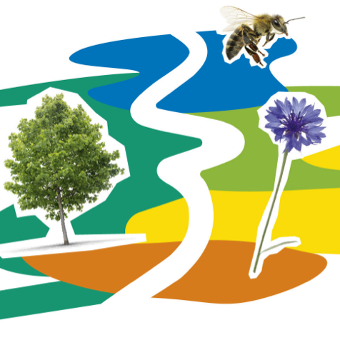 Grafik zum Projekt Schrittsteine-Duisburg