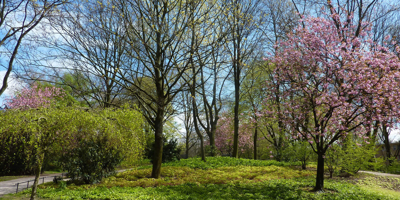 Böninger Park