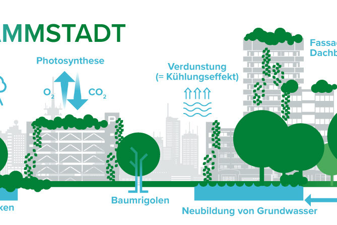 Infografik Schwammstadt