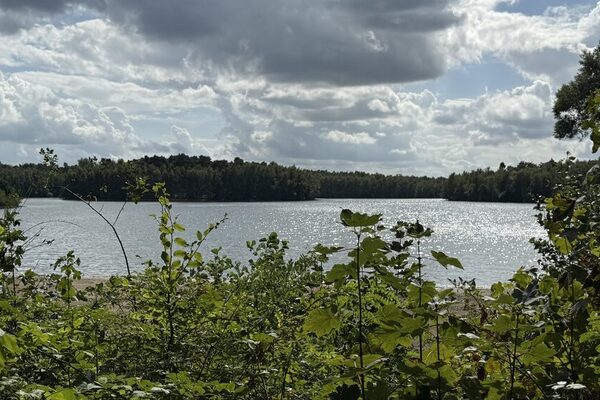 Blick auf den Haubachsee
