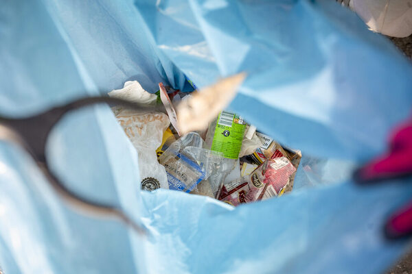 Clean Up Day