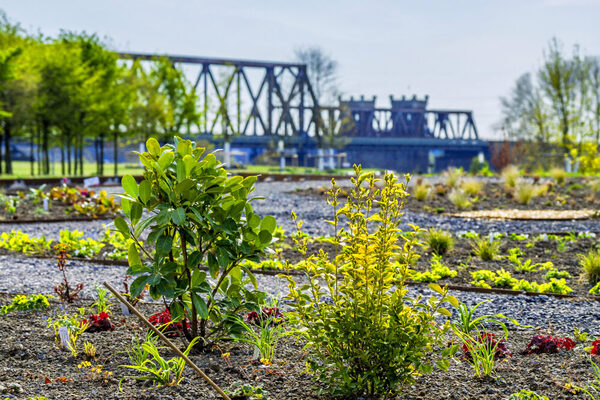 Internationale Gartenausstellung IGA / Rheinpark