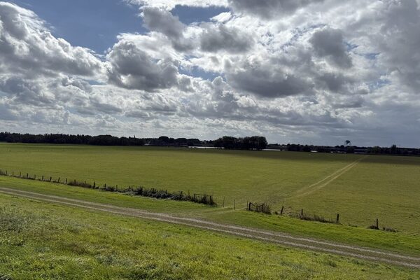 Bildausschnitt der Rheinaue Walsum