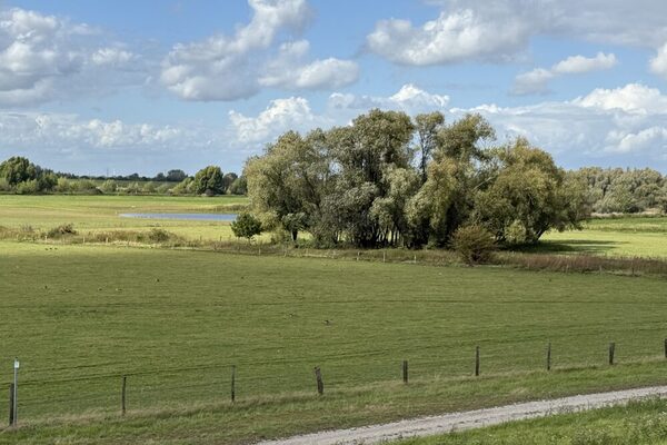 Bildausschnitt der Rheinaue Walsum
