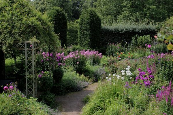 Bildausschnitt von einem Garten