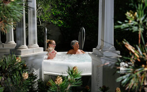 Saunatuin met zwembad