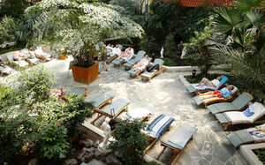 Rustige zone onder de palmbomen