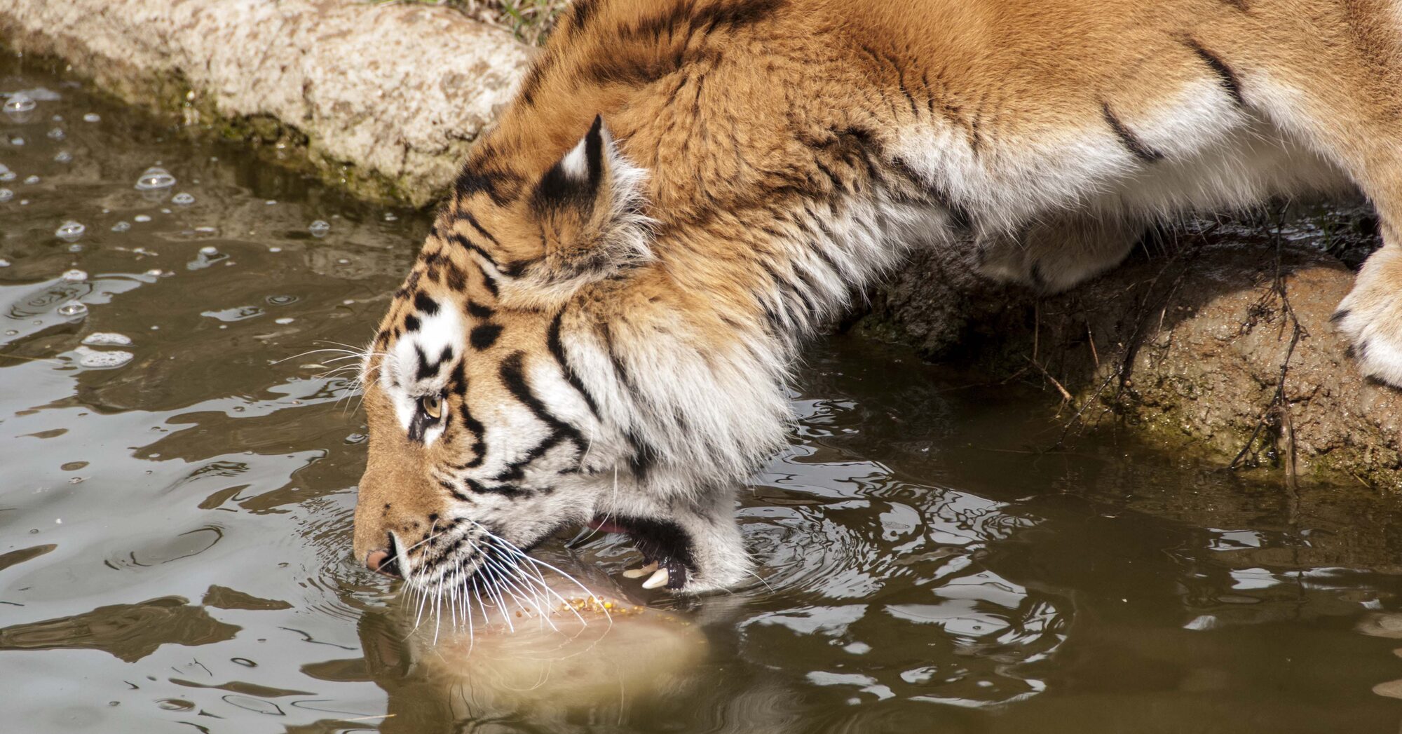 Zoo Duisburg | Bezoek Duisburg