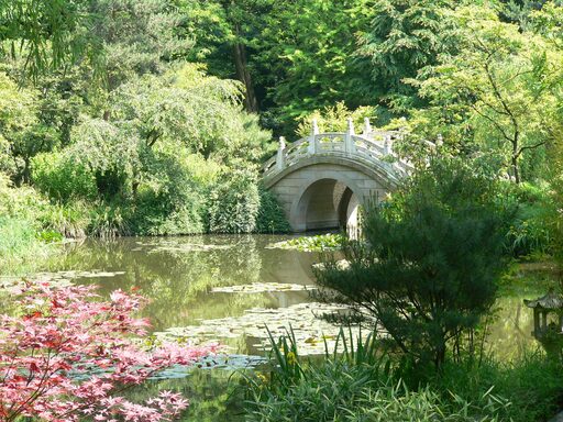Brücke im chinesischen Garten im Zoo Duisburg