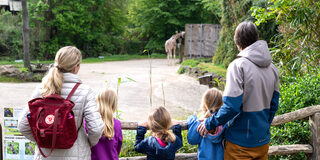 Zoo Duisburg
