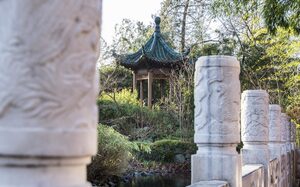 Chinesischer Garten