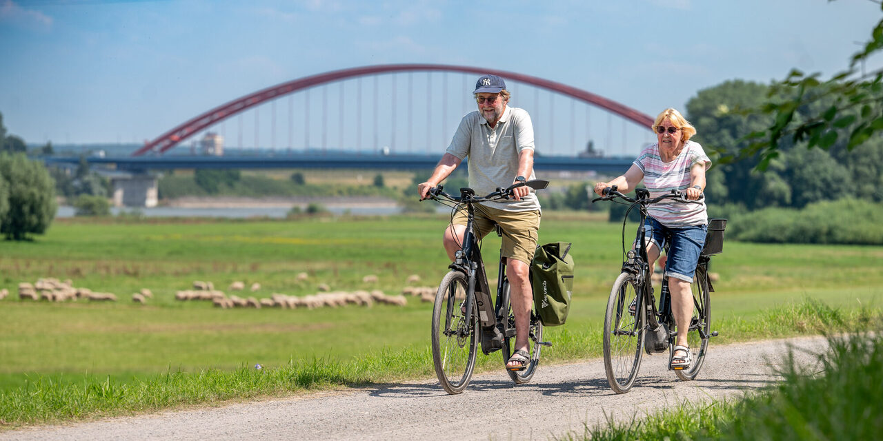 Zwei Radfahrer auf dem Radweg am Rheindeich