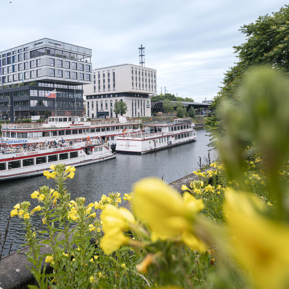 Die Schiffe der weißen Flotte