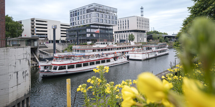 Die Schiffe der weißen Flotte