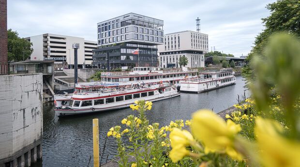 Die Schiffe der weißen Flotte