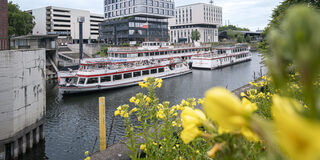 Die Schiffe der weißen Flotte