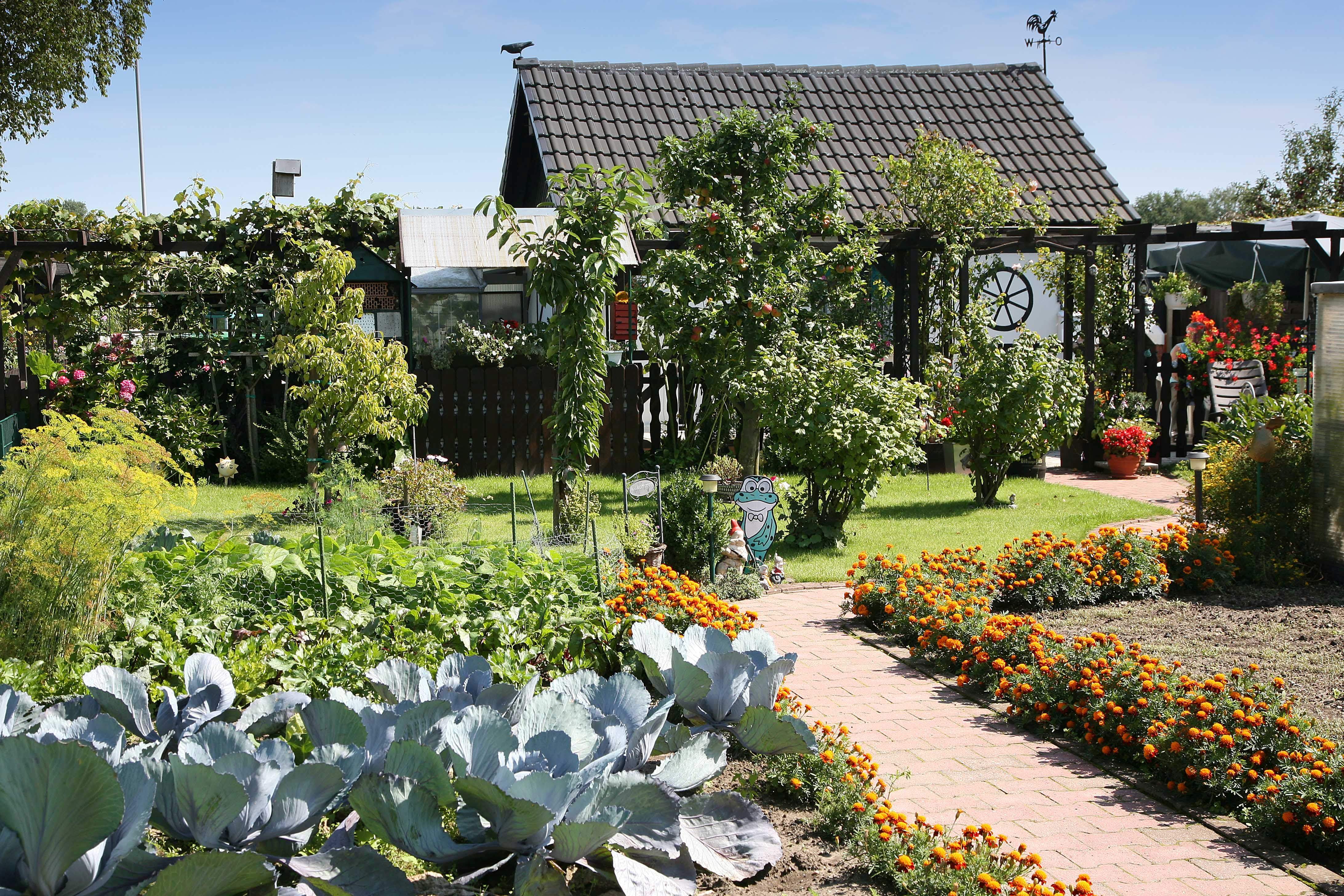 Kleingarten Nutzung