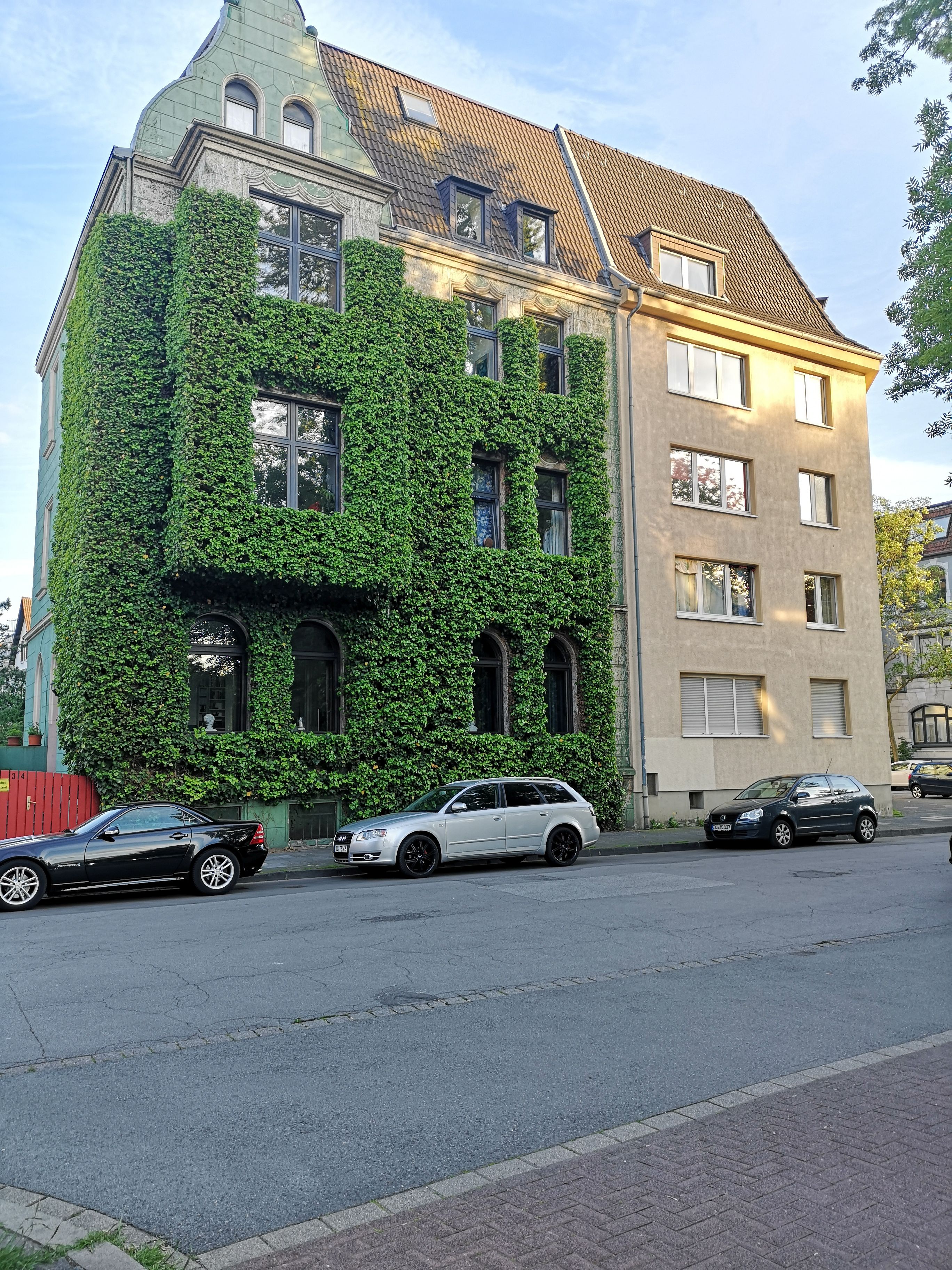 Bild: Stadt Duisburg - Fassdadenbegrünung - Dr. Yousef