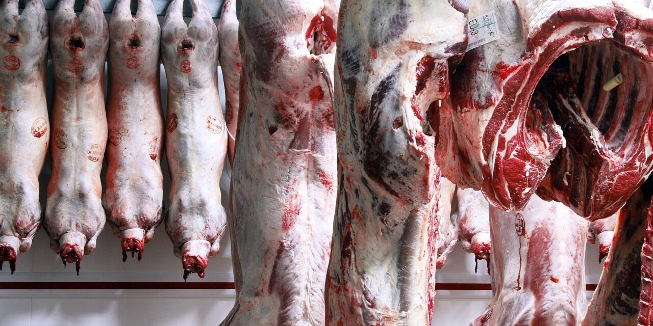 Schweinehälften im Schlachthaus