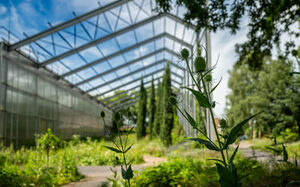Botanischer Garten in Hamborn