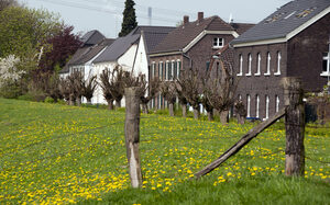 Häuser stehen hinterm Deich - Rheinaue Friemersheim