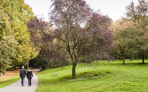 Zwei Spaziergänger im Volkspark