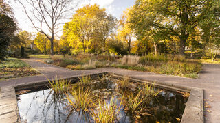 Herbst im Botanischen Garten