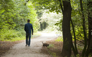 Spaziergänger mit Hund im Wald