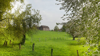 Deich - Rheinaue Friemersheim