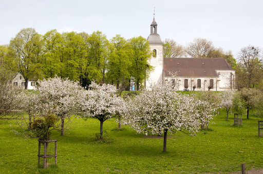 Blick auf Dorfkirche - Rheinaue Friemersheim